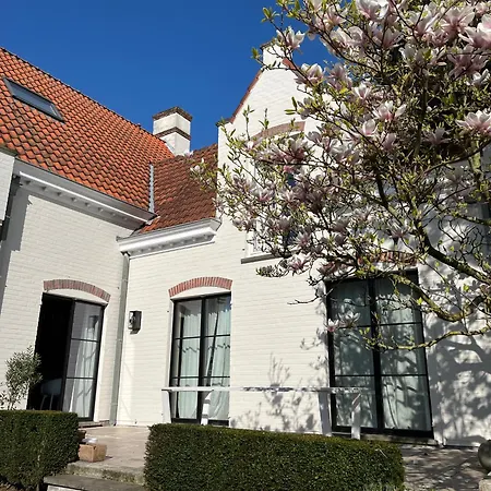 Florence Villa Ostend